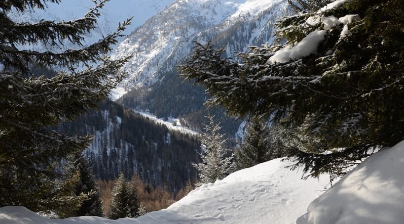hors pistes à Peisey Vallandry