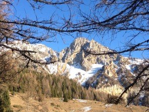 IMG_2226 
