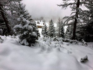 La poudreuse !