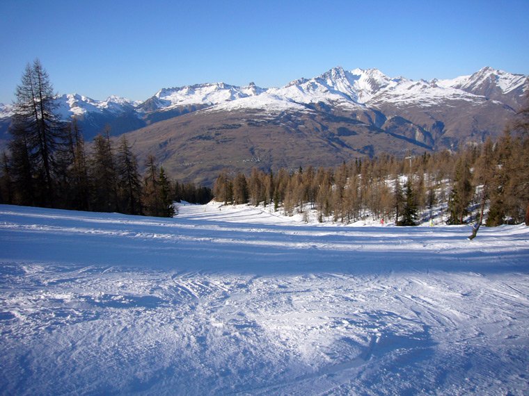 Piste en forêt